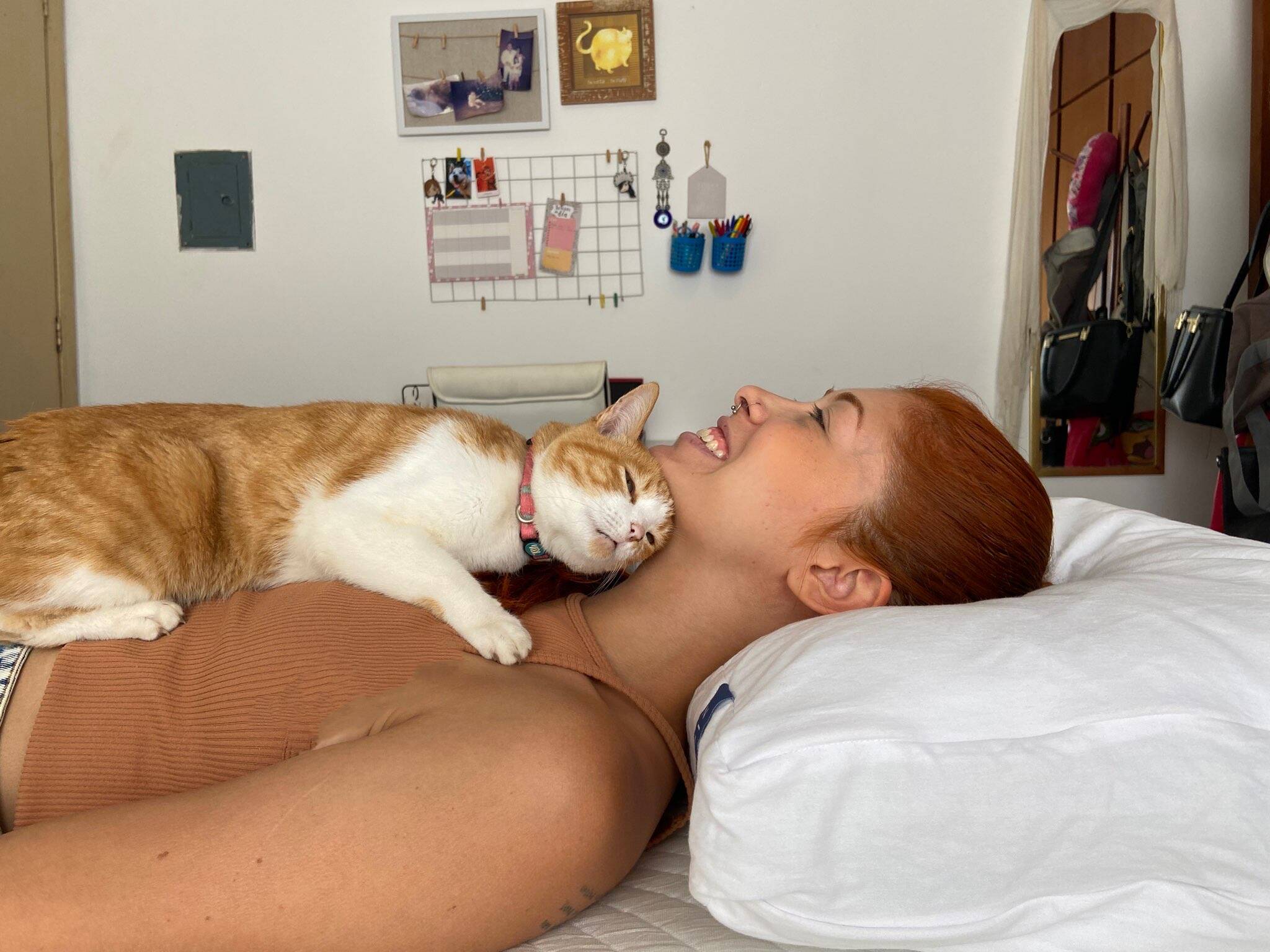 Zissou almofada